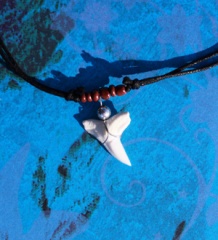 Амулет с зубом синей акулы