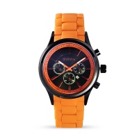 Мужские часы DOLICHE DW015-1