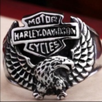 Кольцо из стали HARLEY-DAVIDSON BR8336